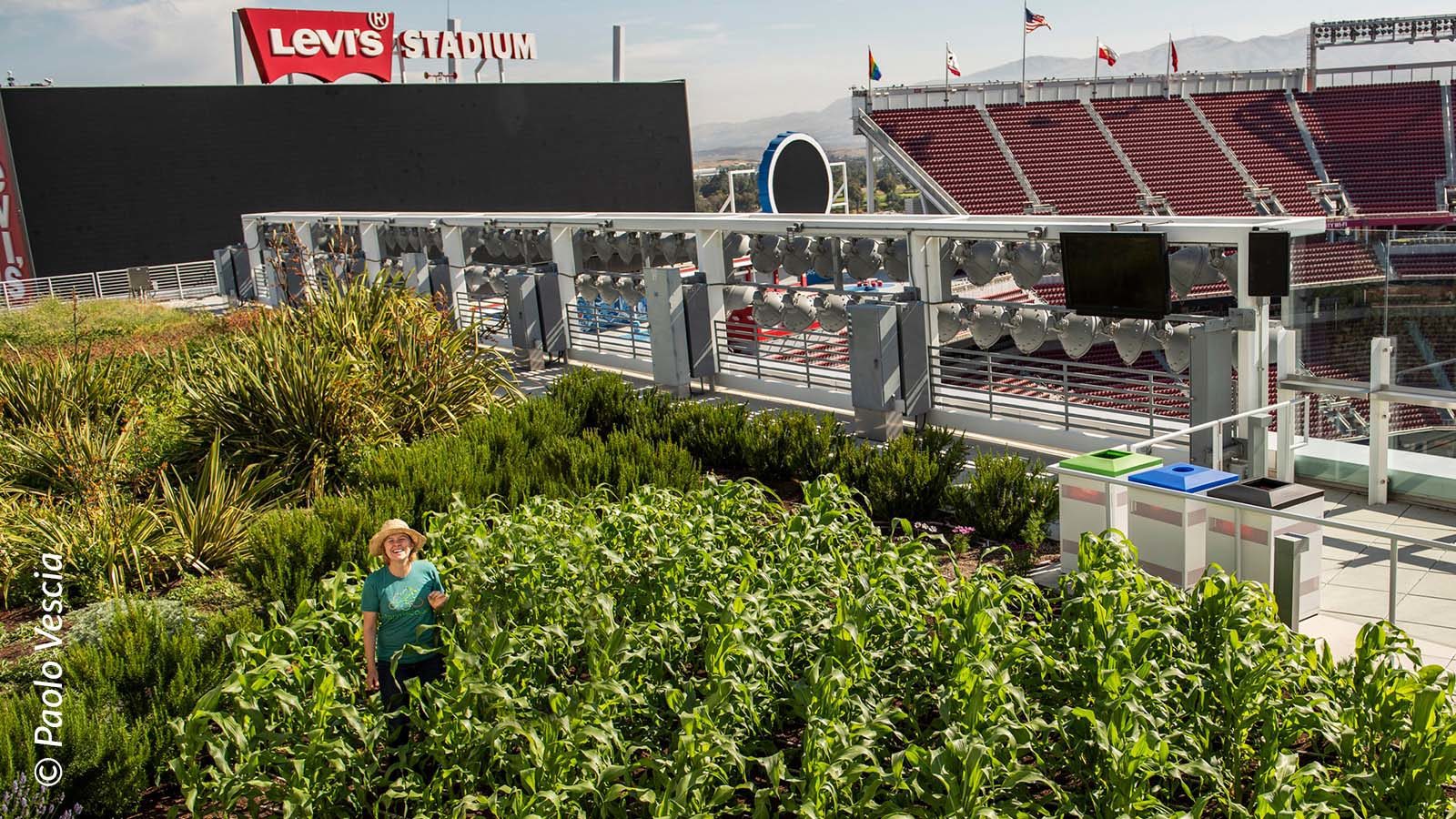 Levi's Stadium, Projects