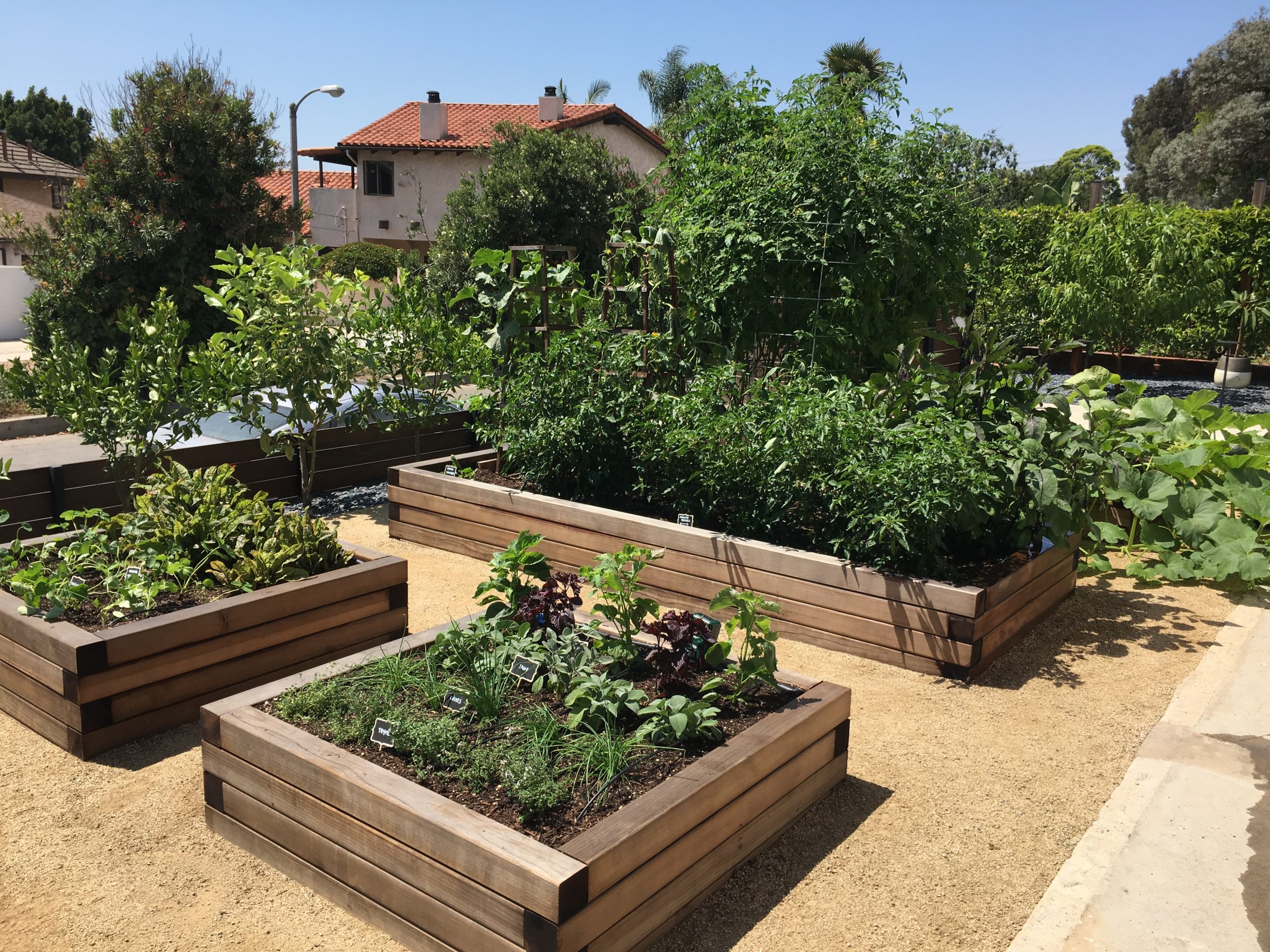 Sustainable Farming in Southern California