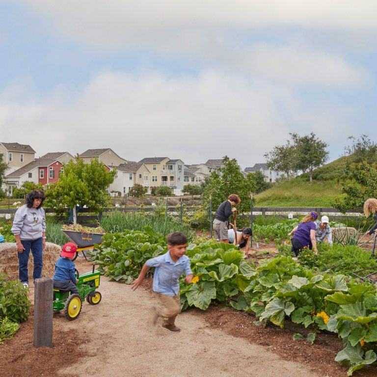 Farmscape | Food-Focused Landscape Design in California – Farmscape
