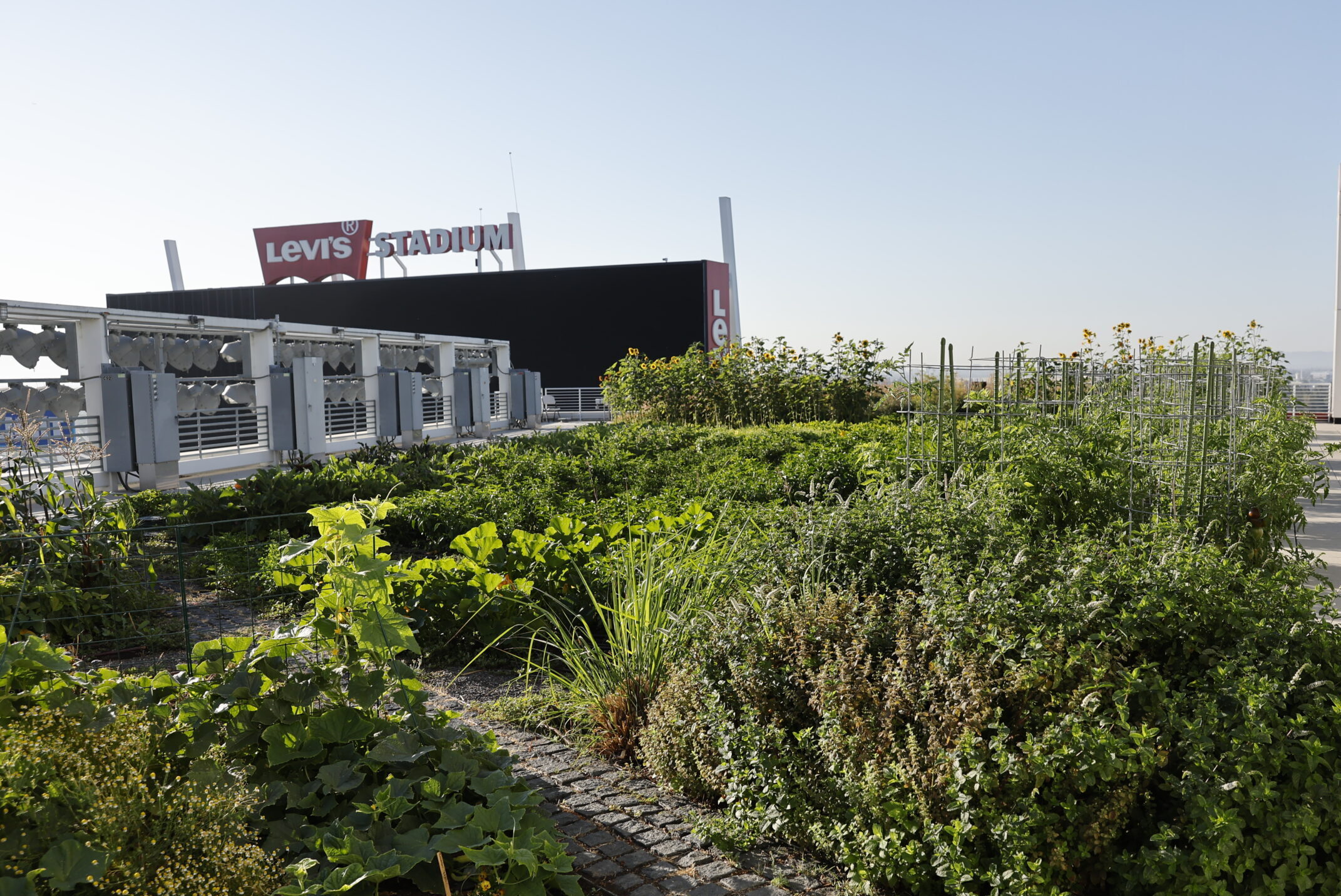 Levi’s Stadium