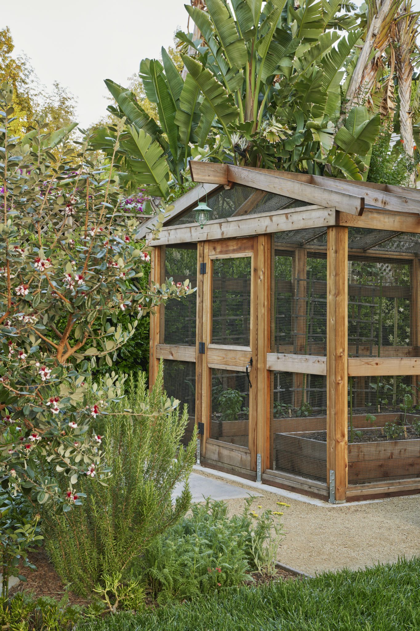 Farmscape | Food-Focused Landscape Design in California – Farmscape