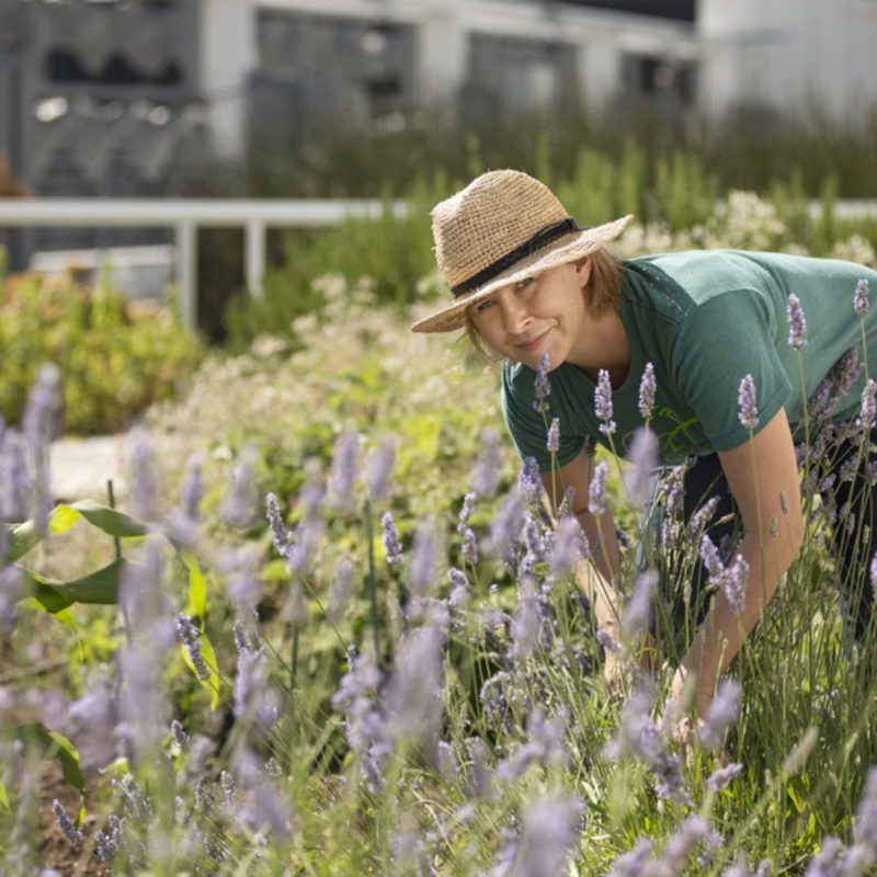 Landscaping & Farming Careers | Farmscape