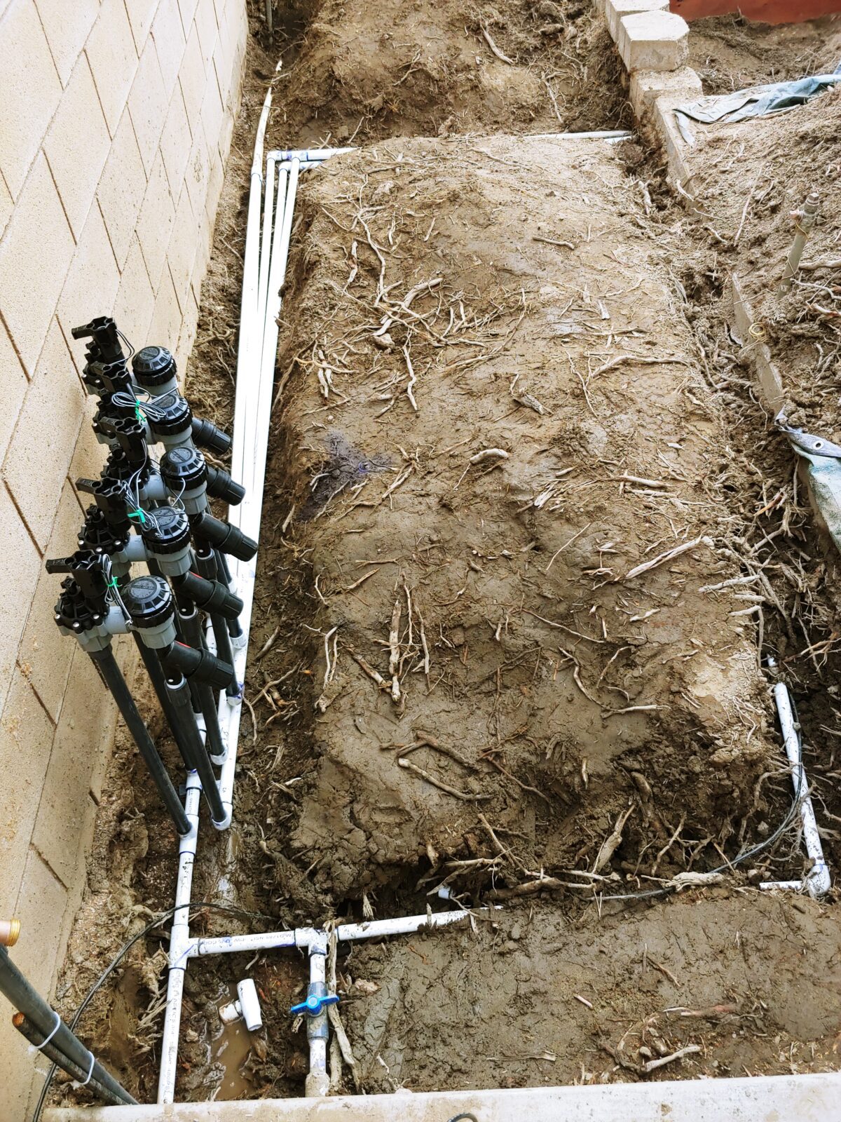 Irrigation setup