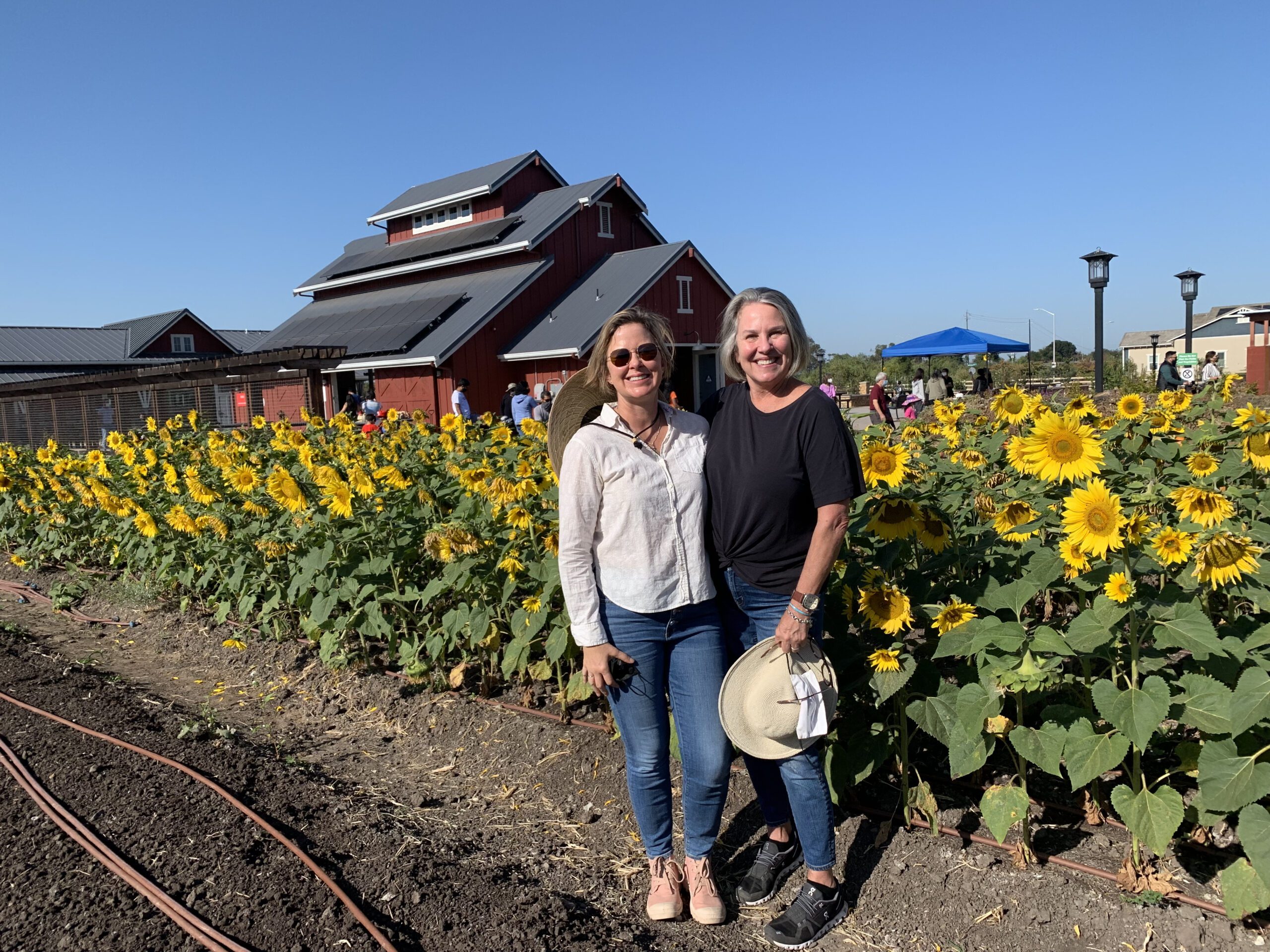 Two ladies in front of a sunflower garden
