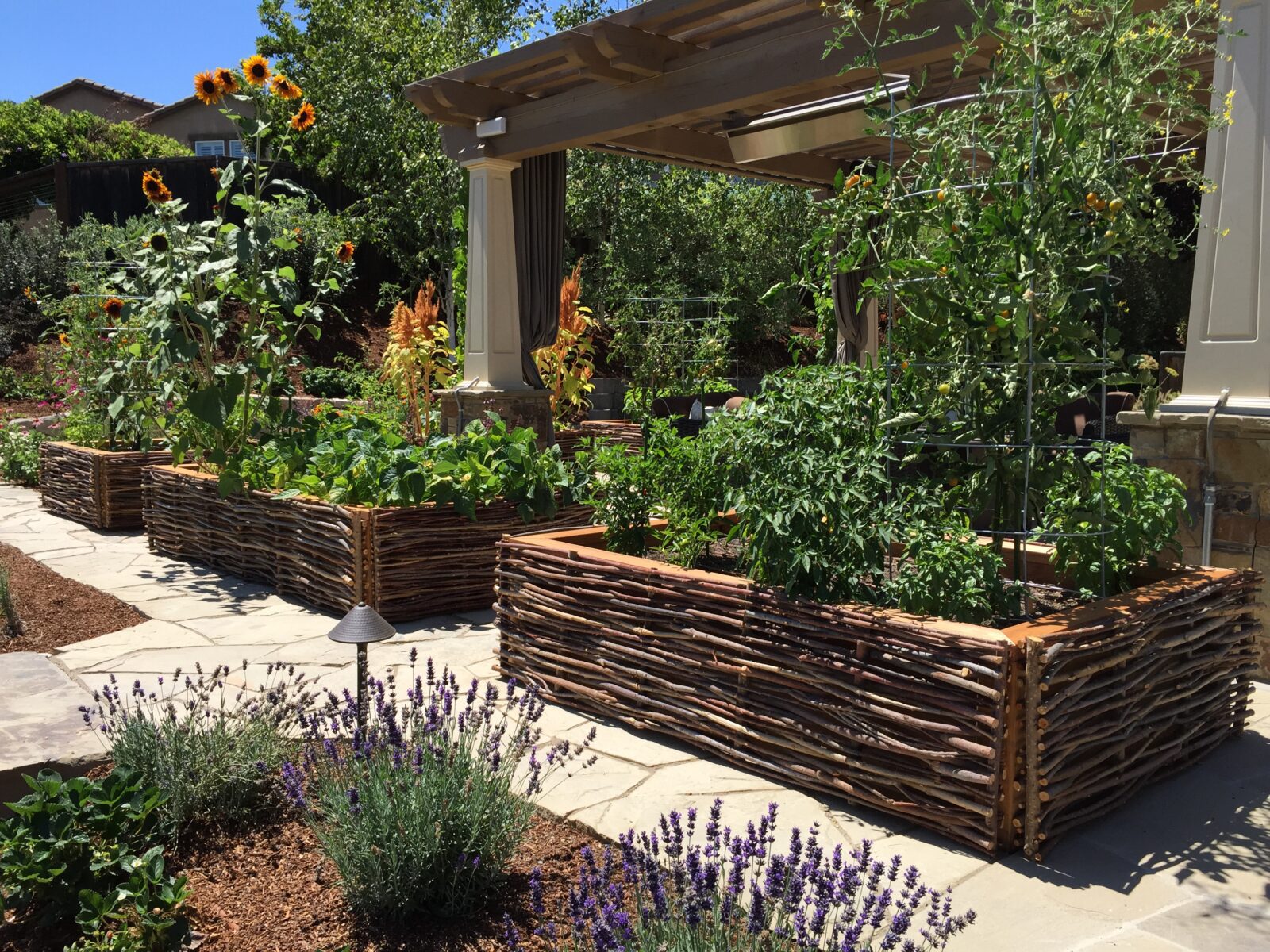 Luxury Landscape Design Services in California | Farmscape – Farmscape