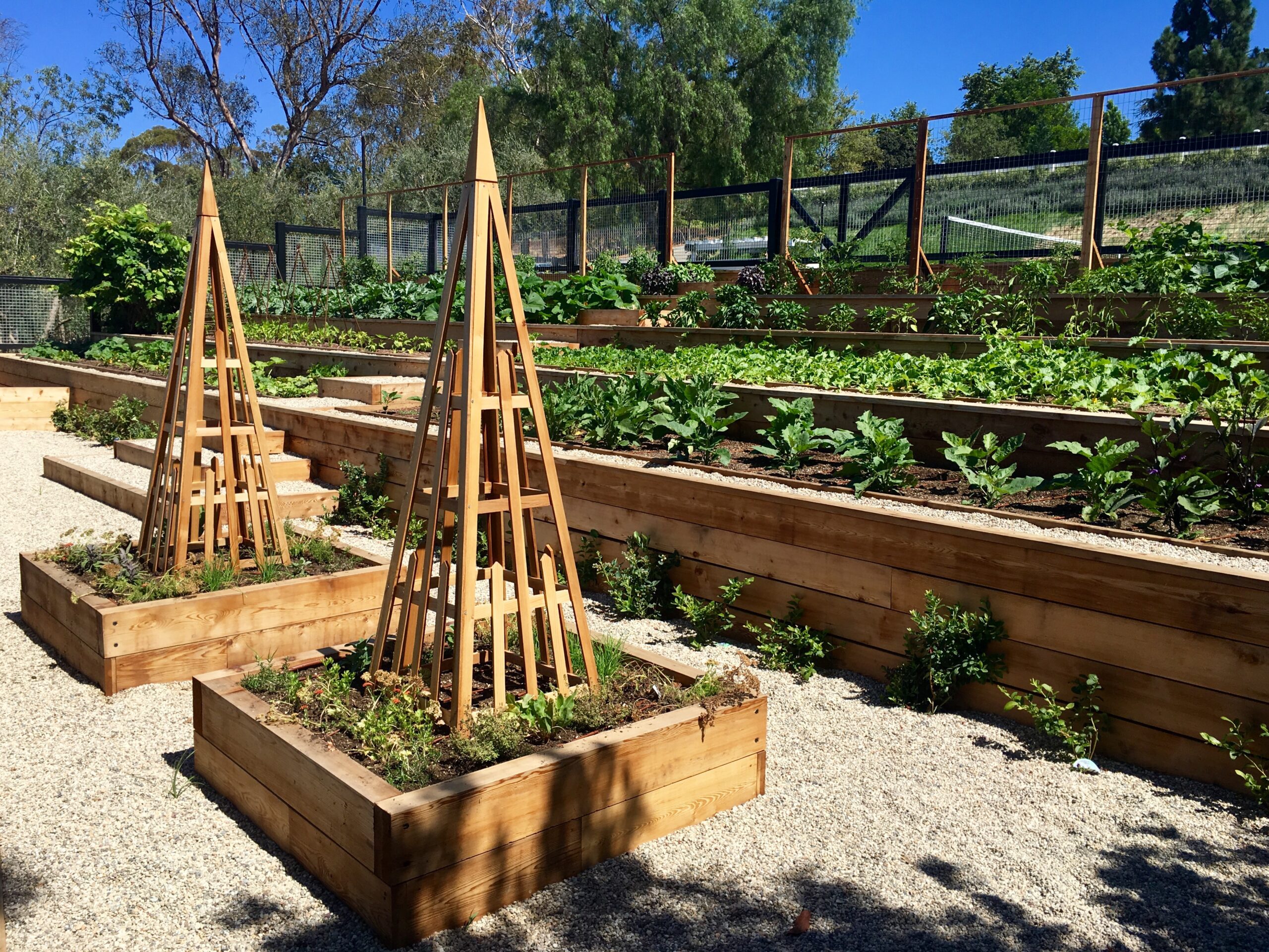 Farmscape’s Landscaping and Gardening Services: Where Sustainable Landscape Design Meets Organic Farming