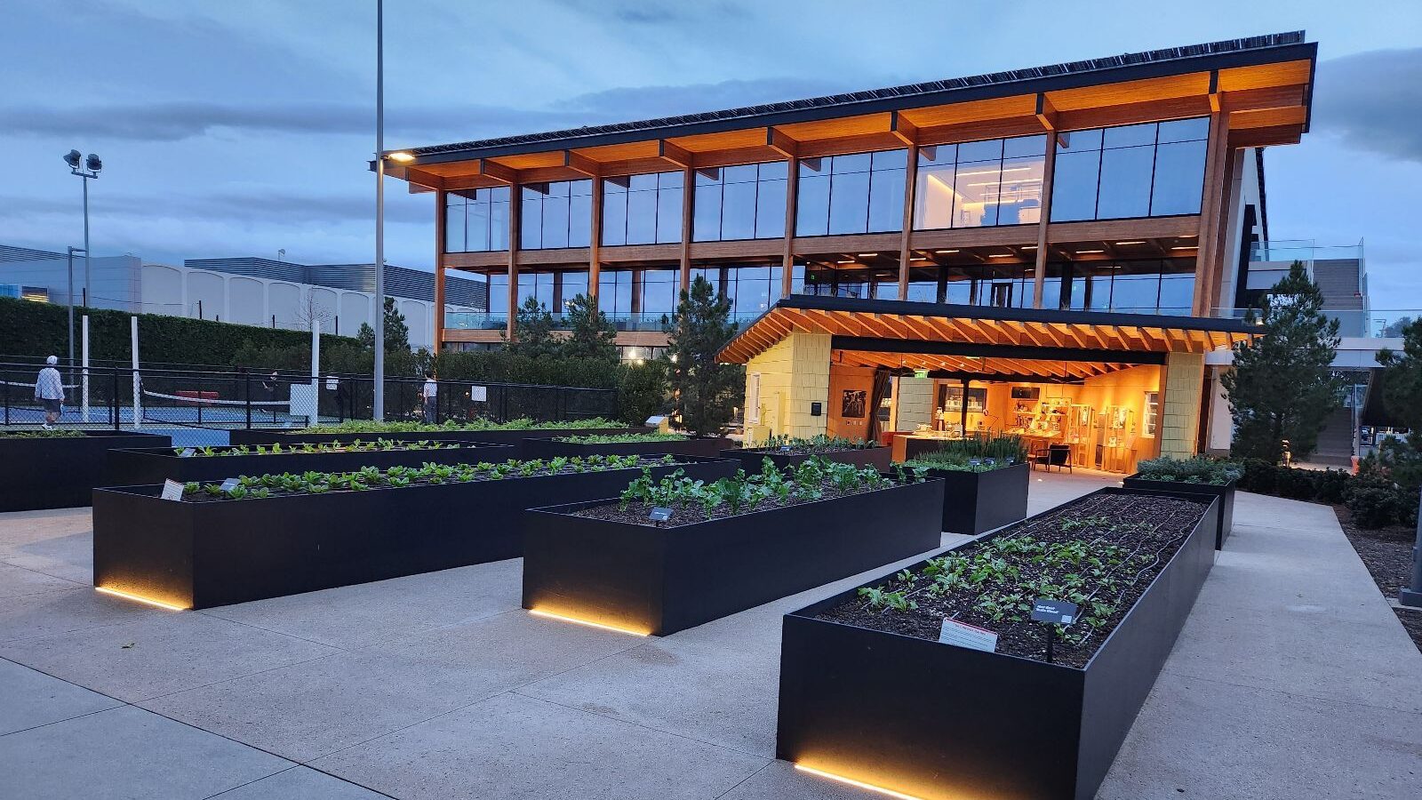 After dark, the custom steel beds are uplit to highlight the seasonal beauty of the garden