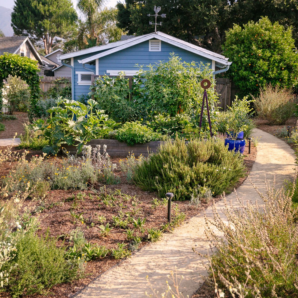 Vegetable garden accessed by decomposed granite pathway