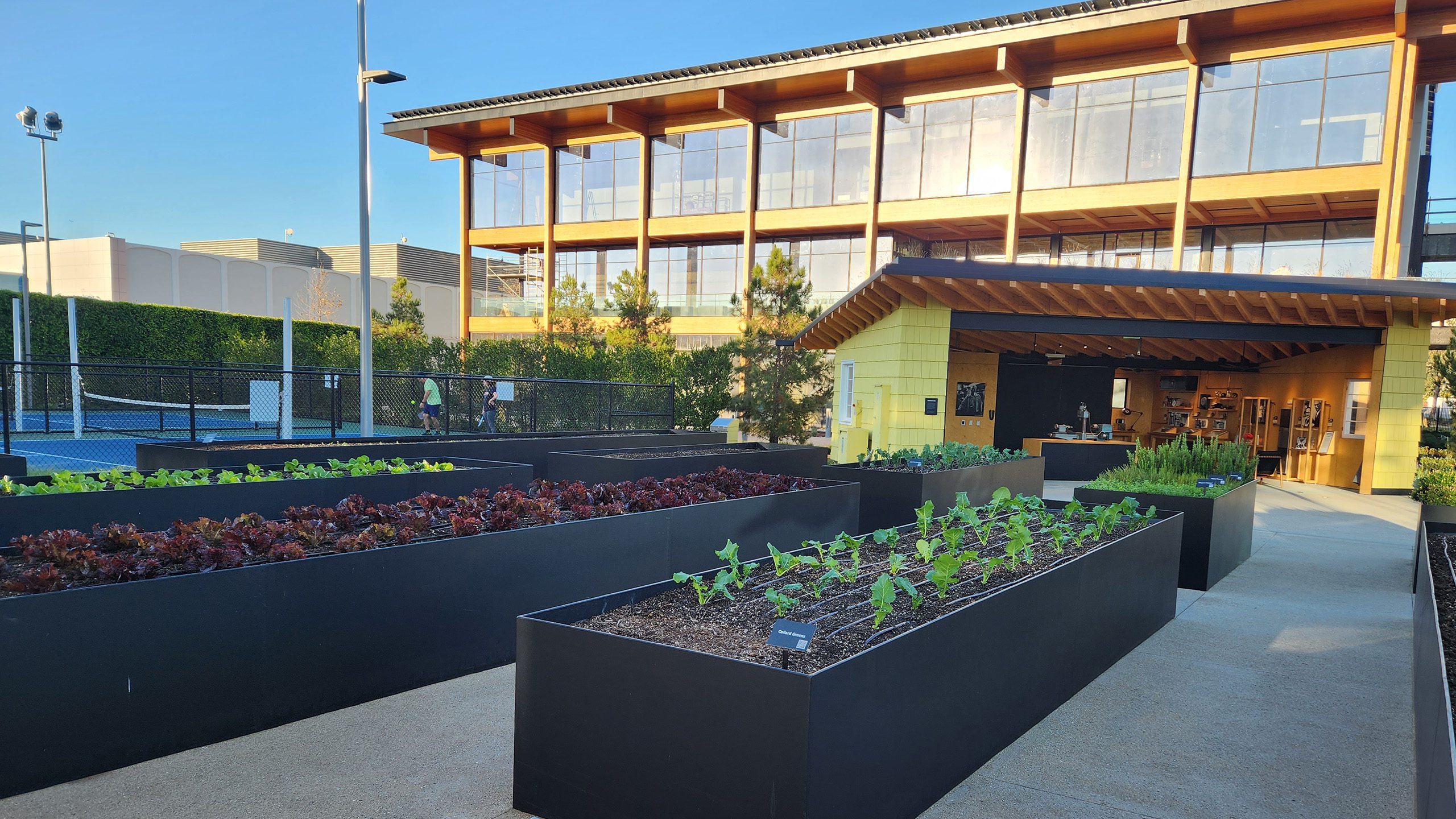 The garden is centrally located with other employee amenities like pickleball and basketball courts, outdoor seating, and the main campus cafe