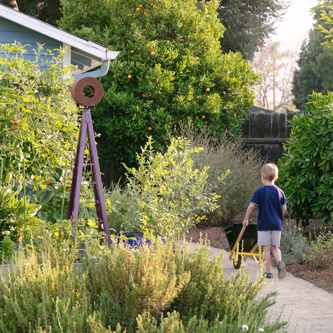 Vegetable garden accessed by decomposed granite pathway and cordon steel bird feeder