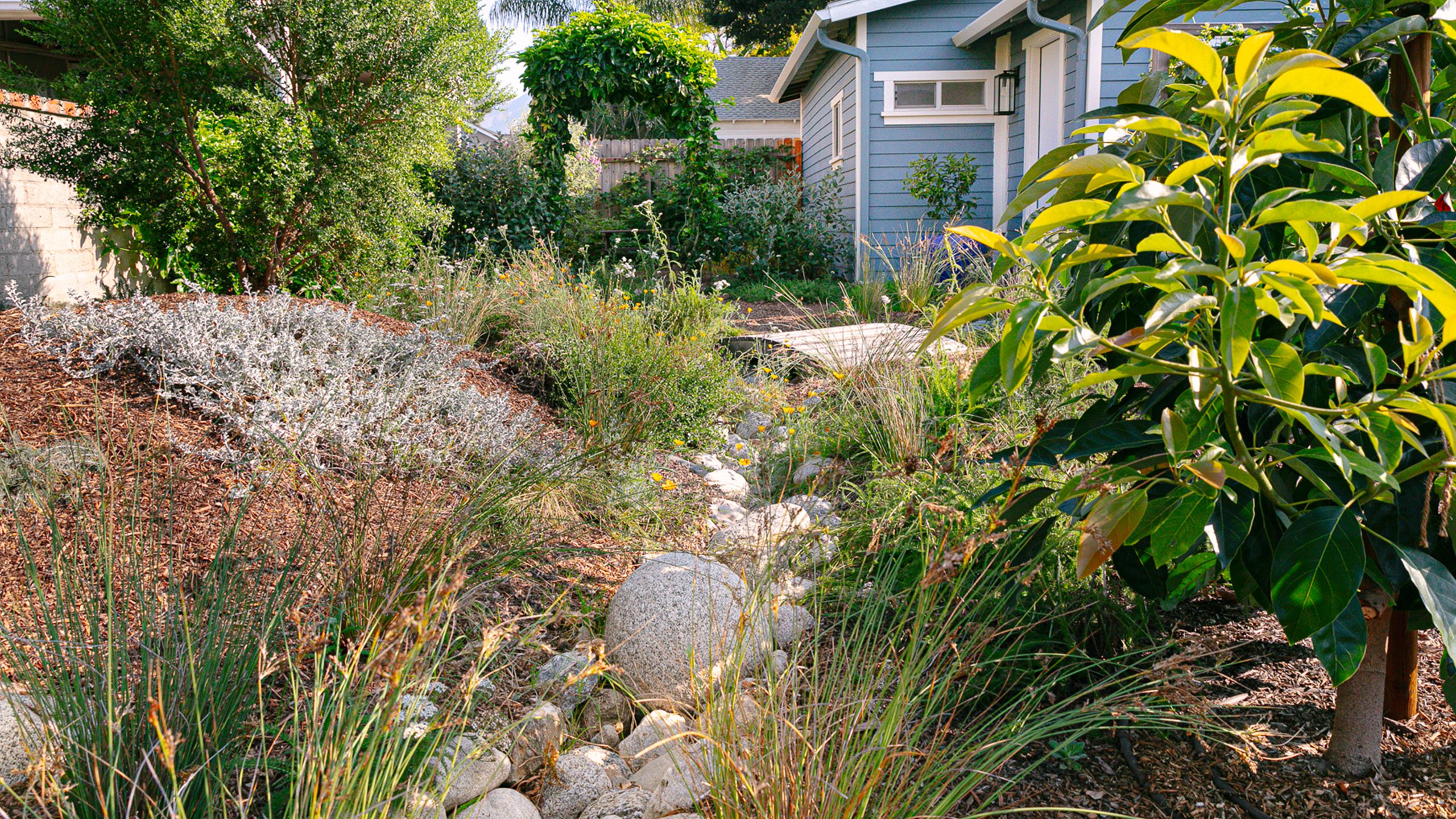 Rock-lined swale to capture rainwater & facilitate planting of a rain garden along its border; many of the rocks came from site prep of the backyard.