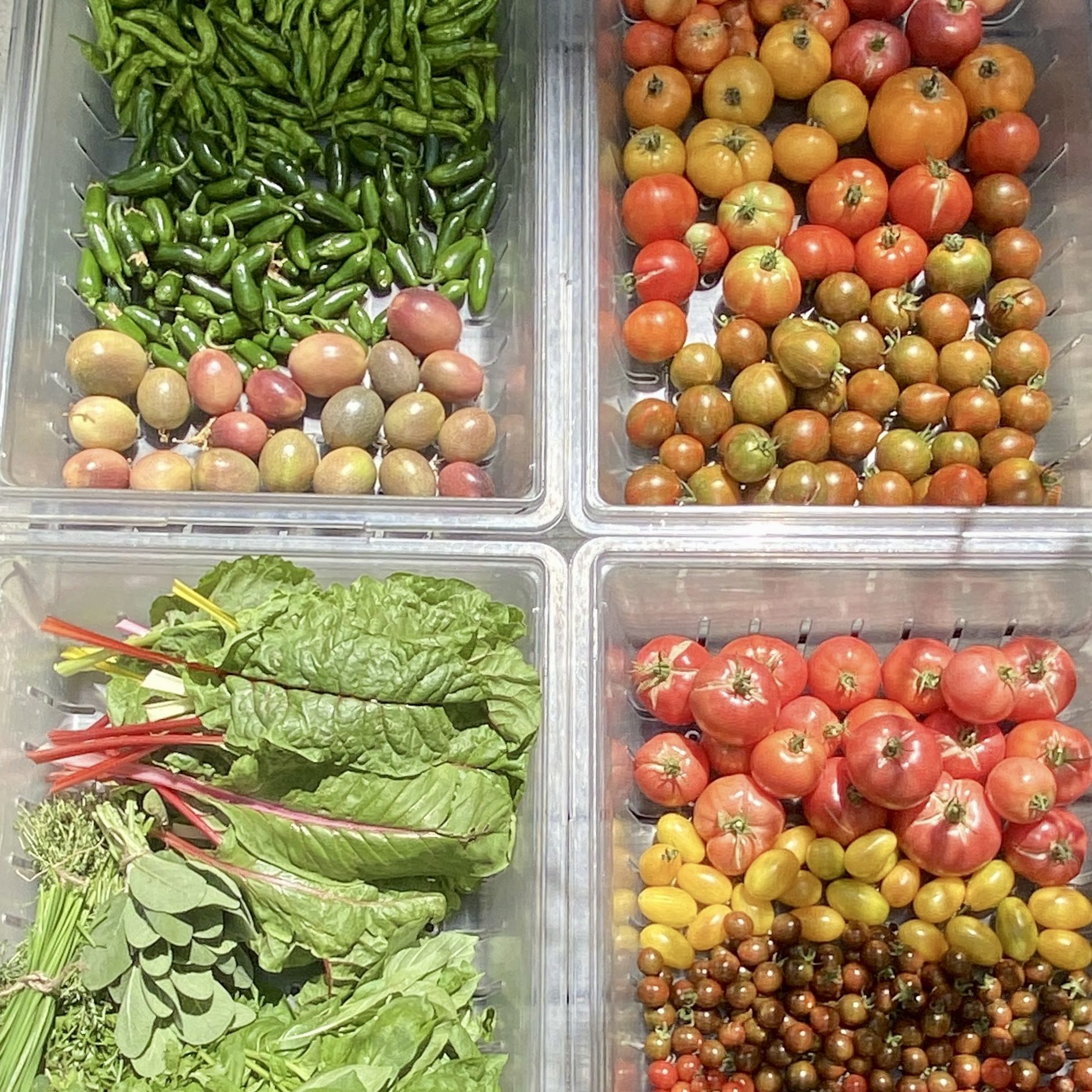 Heirloom tomatoes, peppers, fresh greens, and herbs