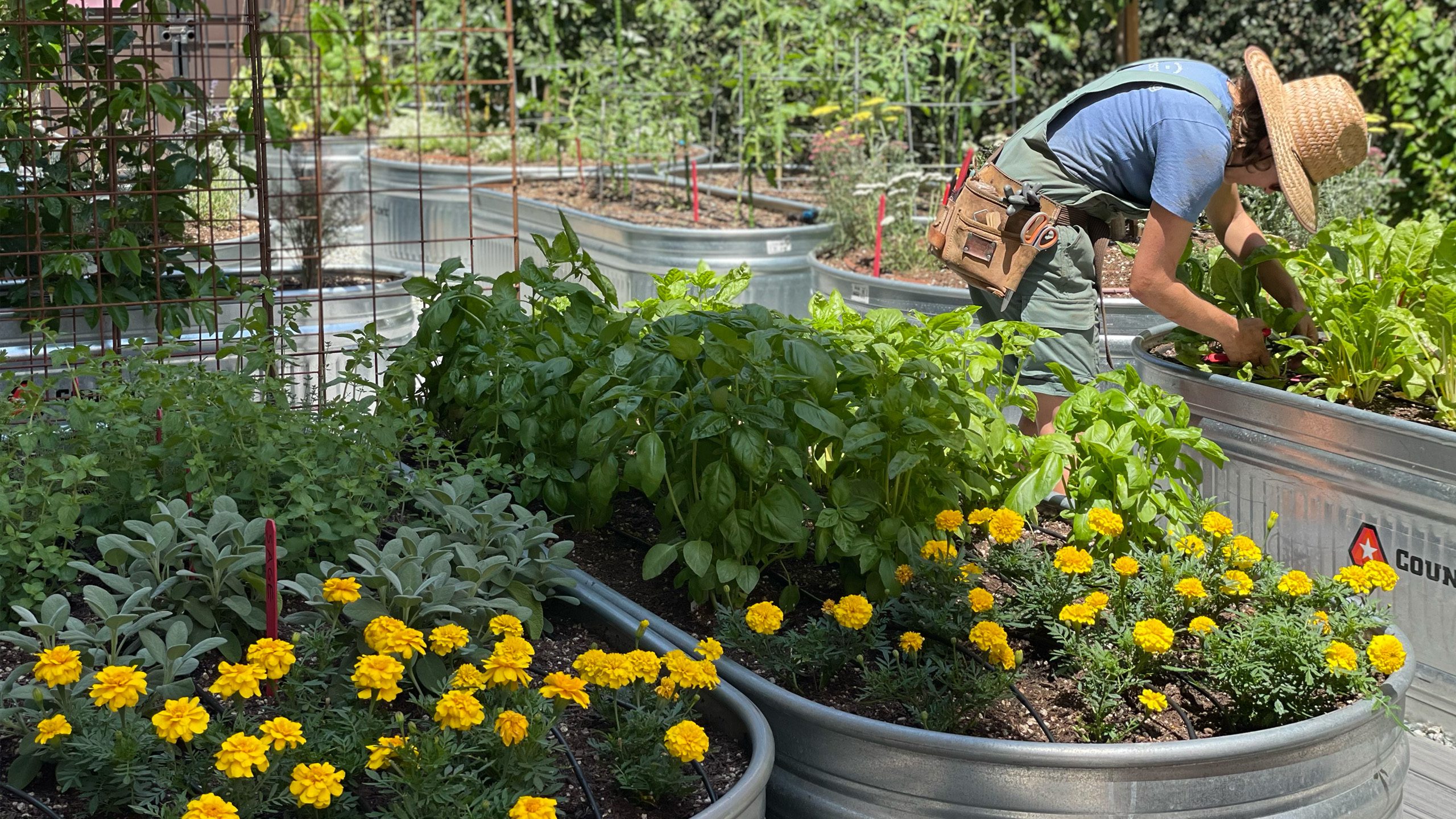 USC Hotel Garden Maintenance