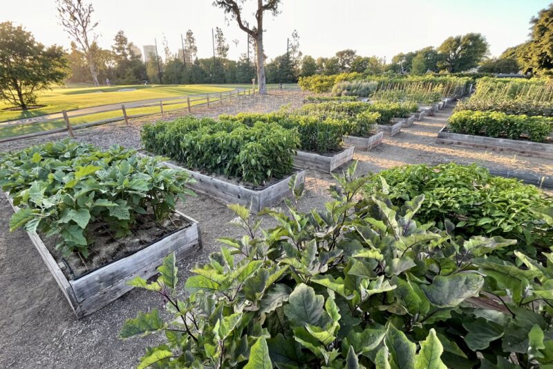 California Landscape Design Services | Farmscape – Farmscape