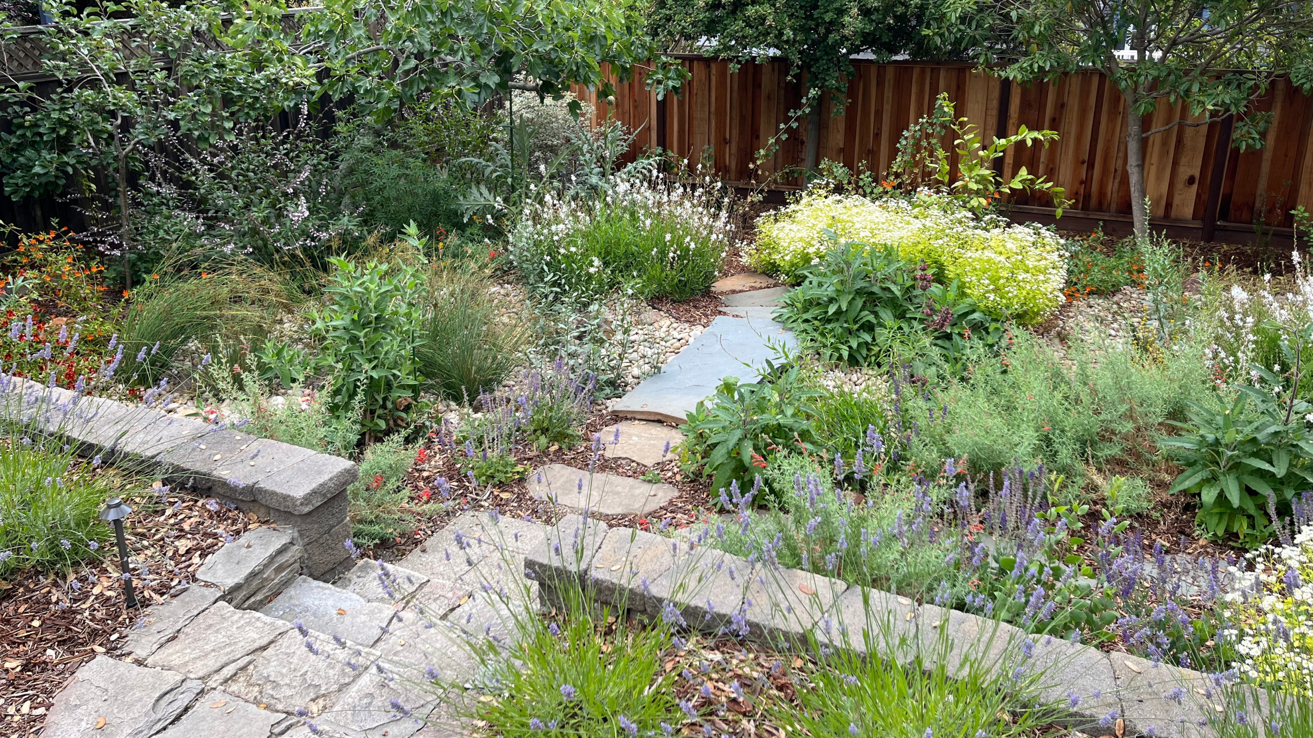 Oakland Hills Rain Garden