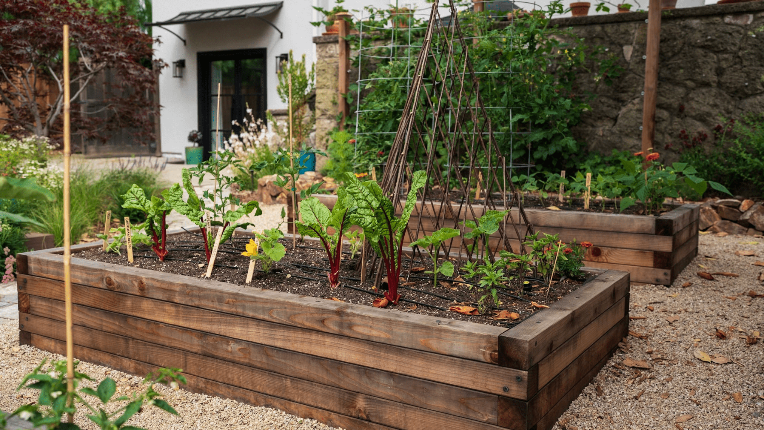 Oakland Hills Raised Beds