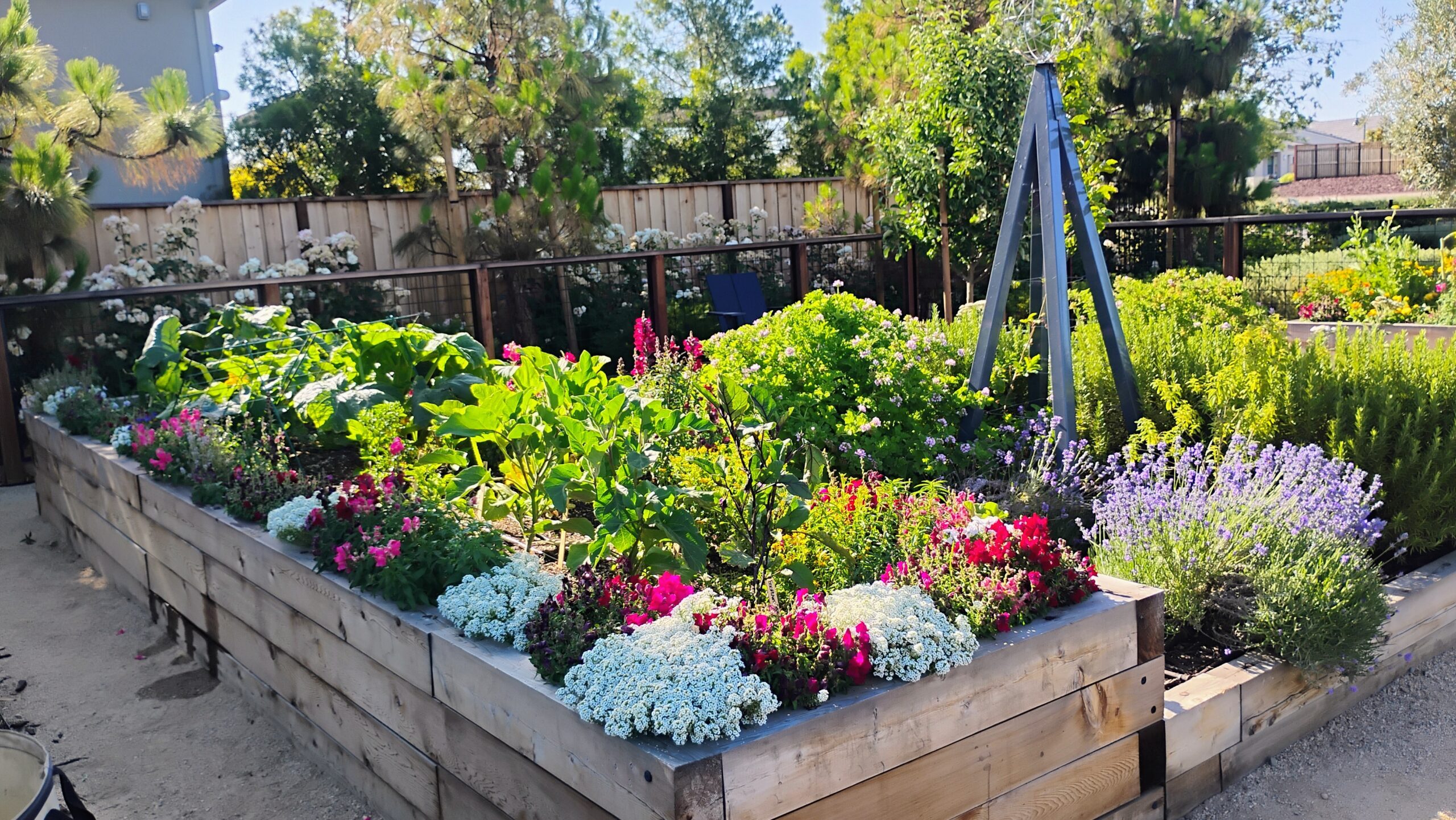 Growing Beauty: How Farmscape Designs Cut Flower Gardens for Form & Function