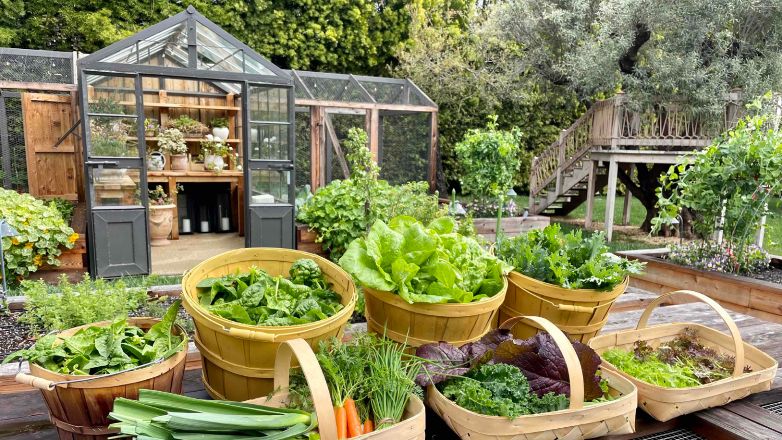 California Landscape Design Services | Farmscape – Farmscape