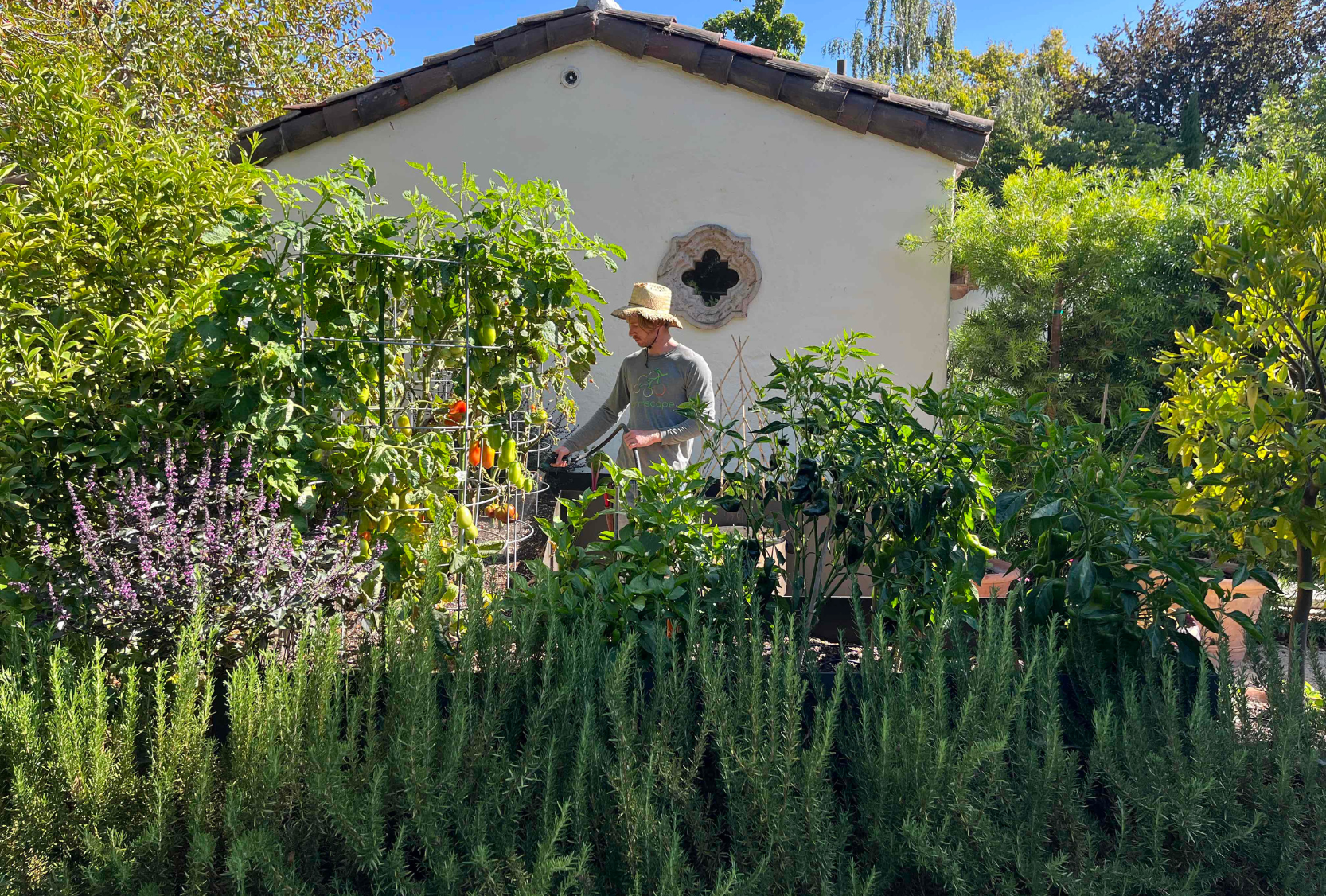 Architectural Digest - Step Inside Jennifer Garner's Cozy California Home