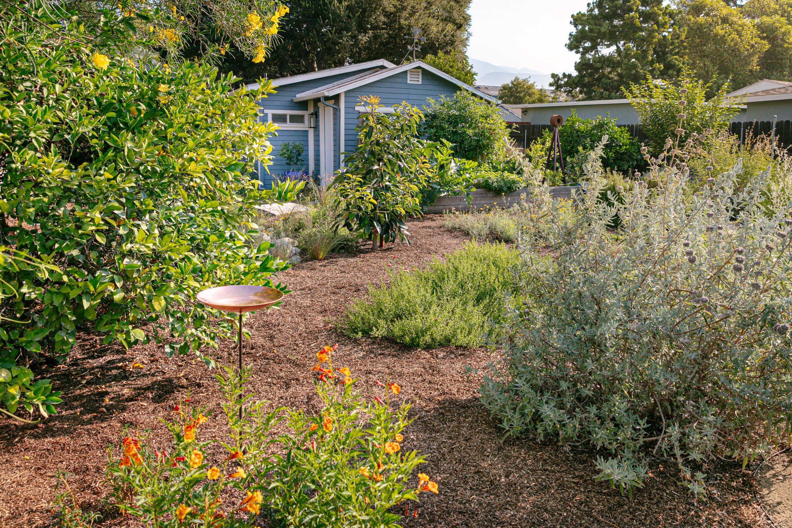 California Landscape Design Services | Farmscape – Farmscape