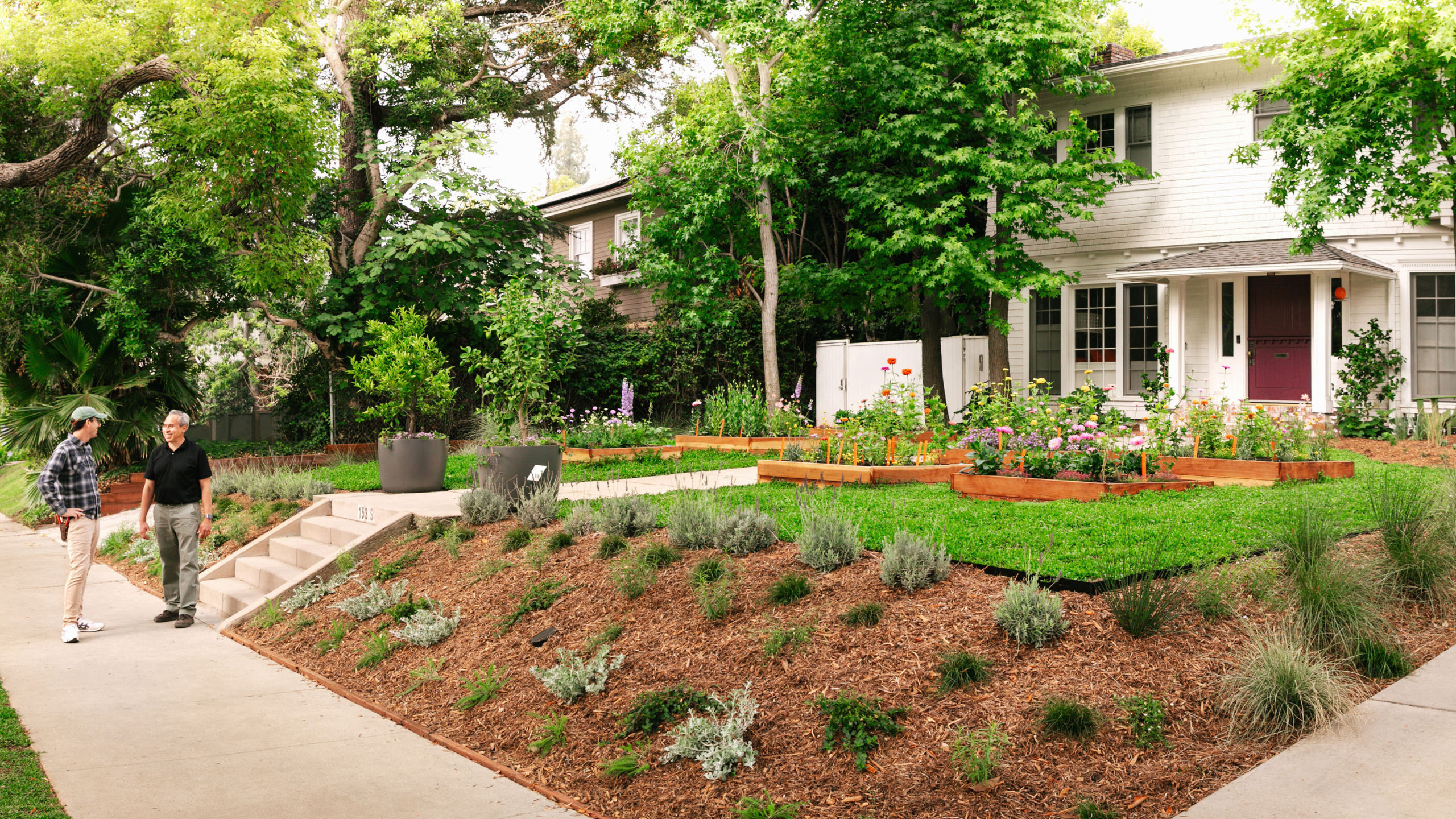 Wide view of a transformed front yard with colorful raised flower beds, green groundcover, and climate-appropriate plantings, with two people talking along the sidewalk.